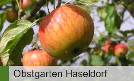 Informationen Obstgarten Haseldorf