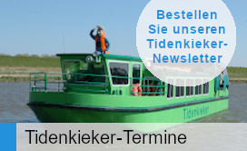 Newsletter bestellen Tidenkieker Termine Elbmarschen